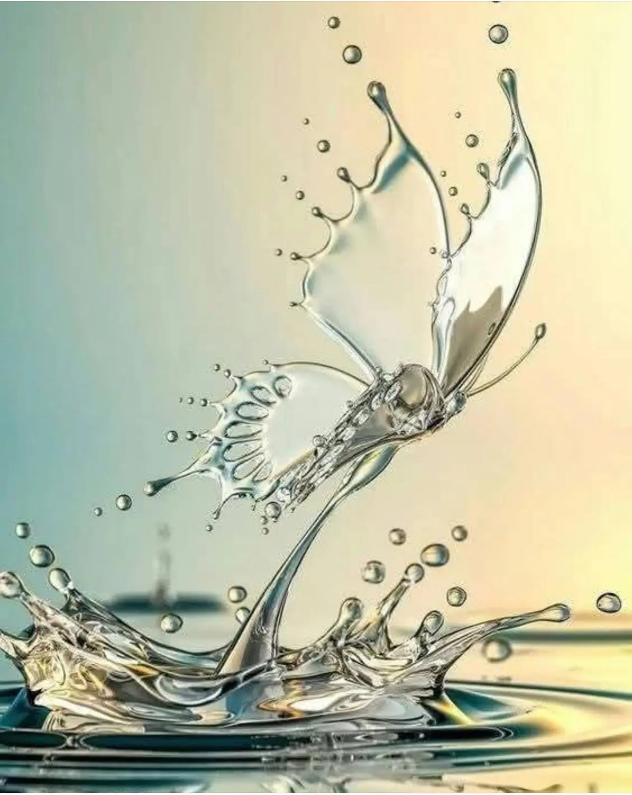 Acompañamiento emocional, psicoterapia en Mallorca